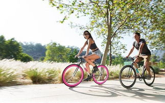 智利工程師創(chuàng)造世界首輛自鎖結(jié)構(gòu)防盜自行車